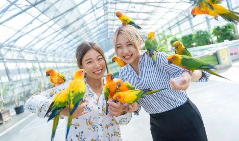 美麗花卉、鳥群恭候光臨