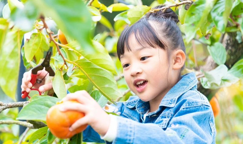 盡情玩樂！享受美食！令人滿足的水果主題公園